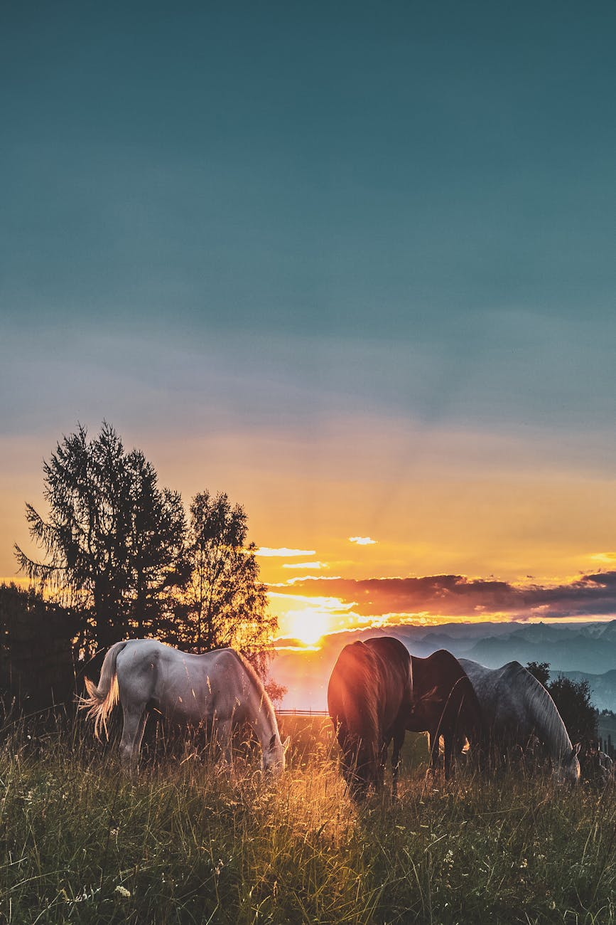 Trusting God’s Timing When Life Isn’t Going as Planned